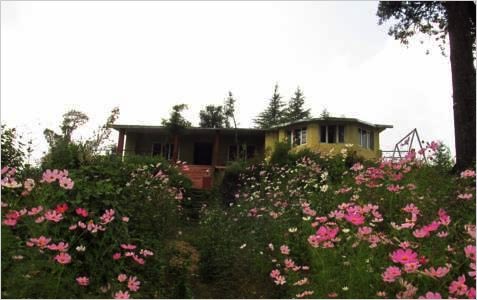 Monal Resort Lohaghat, Uttarakhand, India