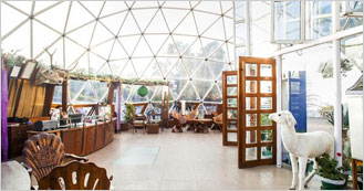 Tarika's Jungal Retreat is the Resort in Chail